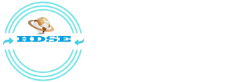 HDSE Infotech Logo